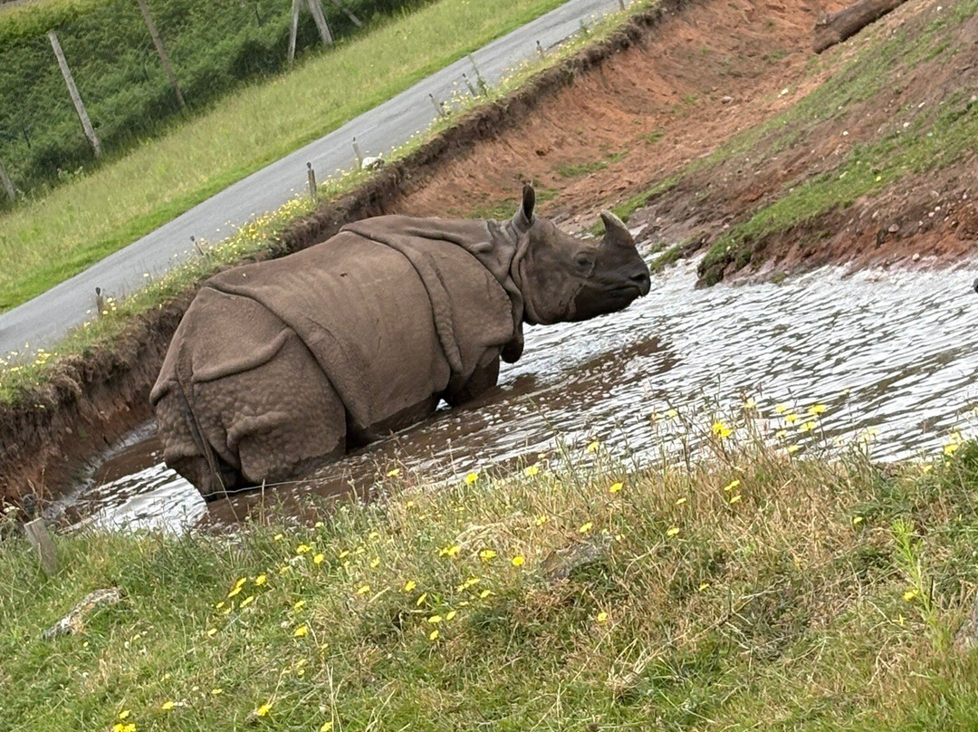 West Midlands Safari Park-Bewdley必去景点