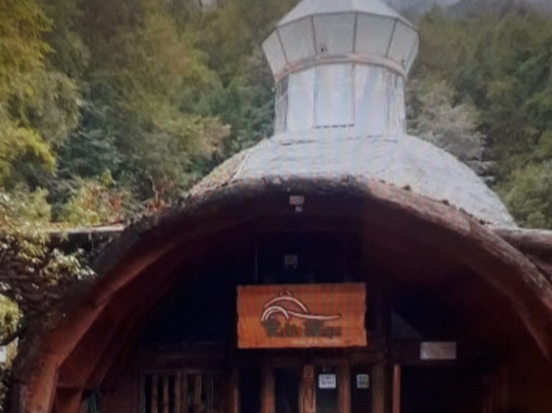 Museo de los Volcanes-耐尔杜美必去景点