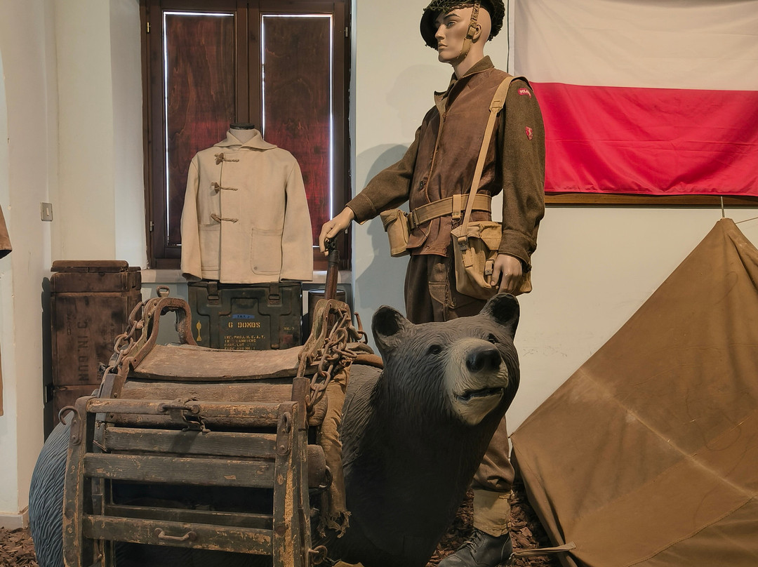 WinterLine Venafro - World War II Museum-Venafro必去景点