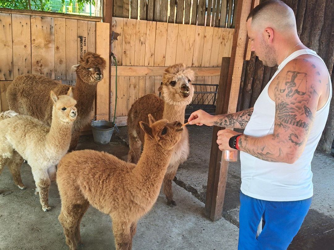 Camel Park Sunny Beach-拉夫达必去景点