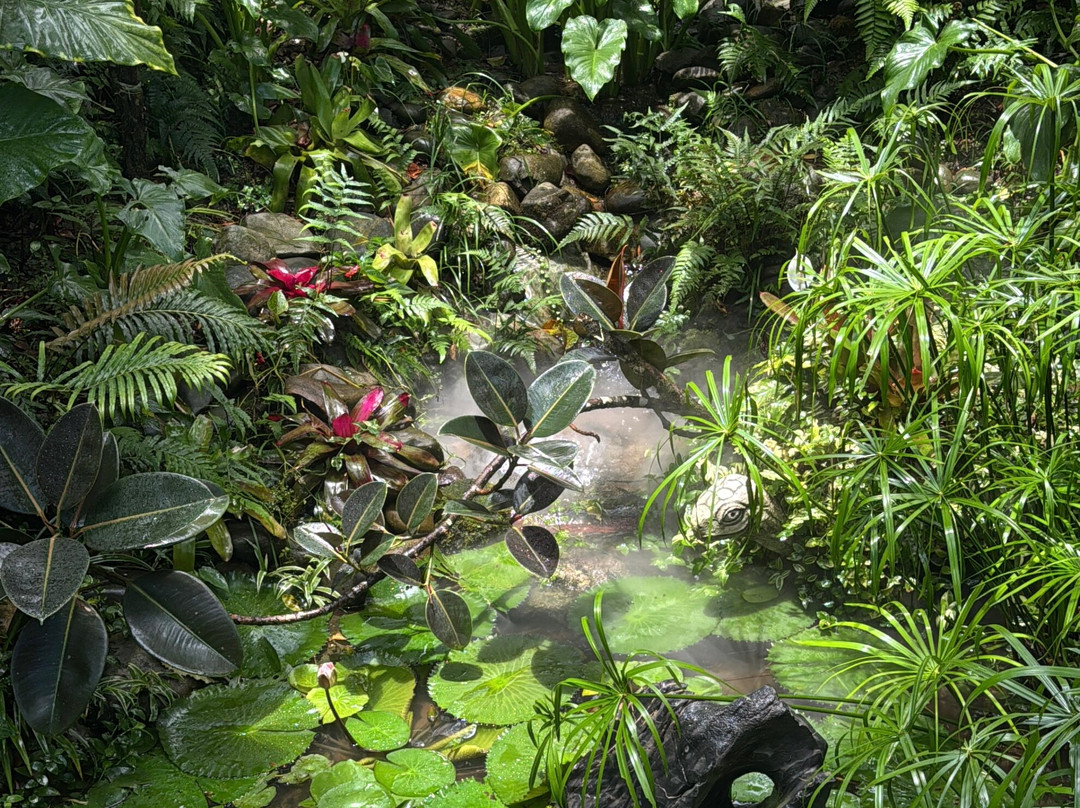Bà Nà Hills-Hoa Phu必去景点
