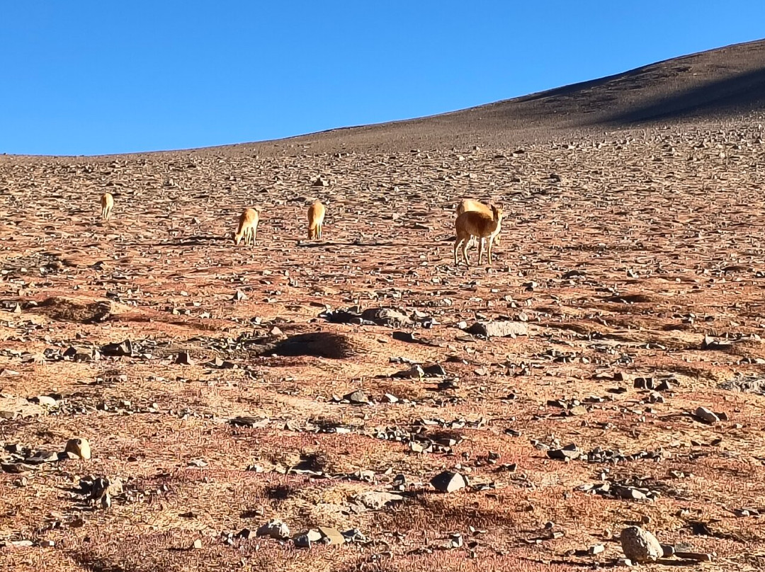 Somos Aventura