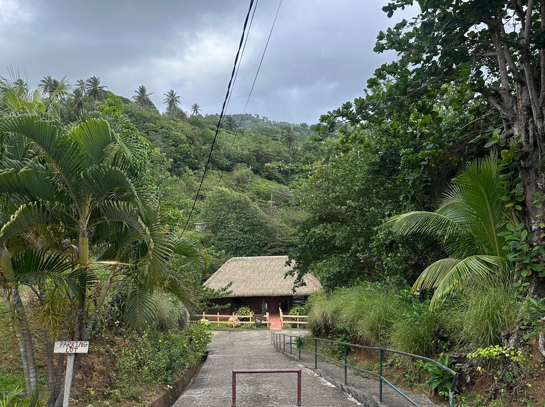 Kalinago Territory-多米尼克必去景点