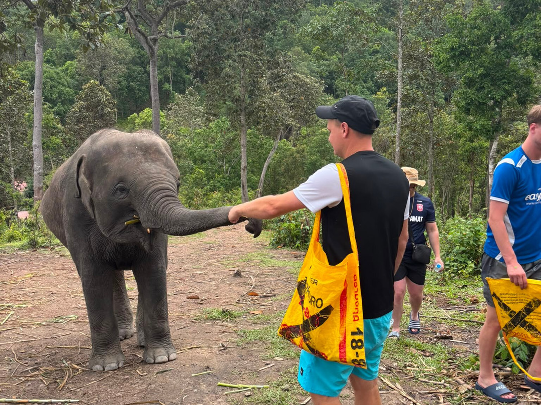 Pon Elephant Thailand-清迈必去景点