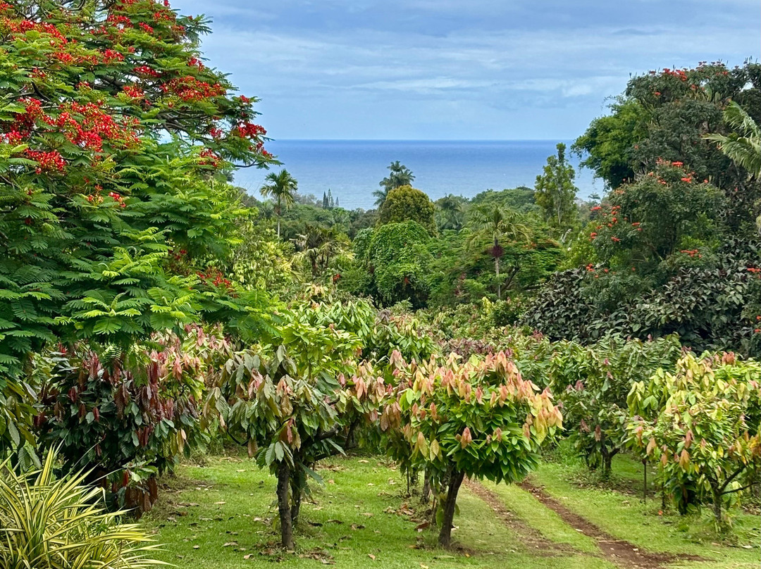 Hamakua Chocolate Farm-帕派科欧必去景点