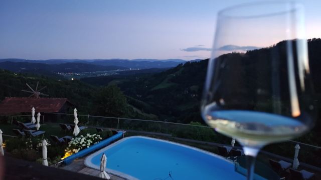 Das Kappel Wein Gut Hotel-酒店景观