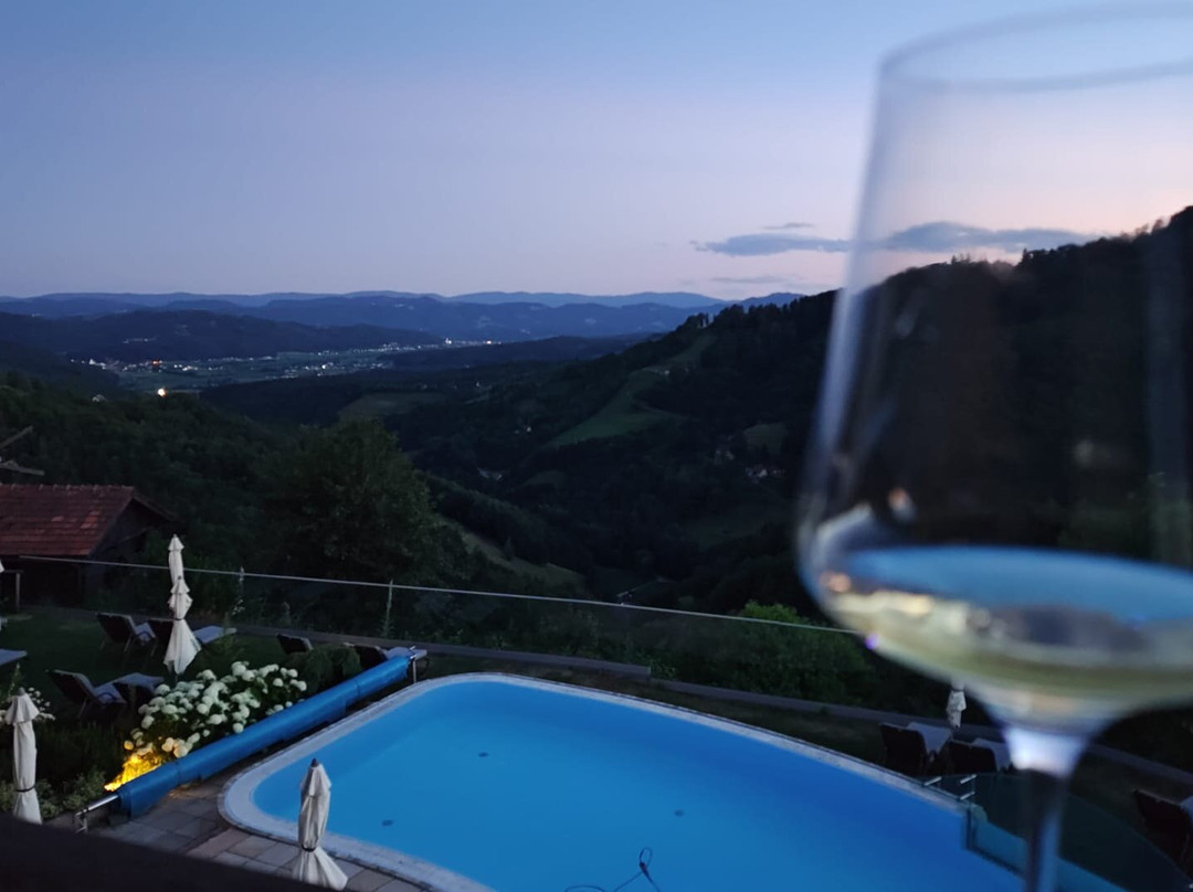 Das Kappel Wein Gut Hotel主图