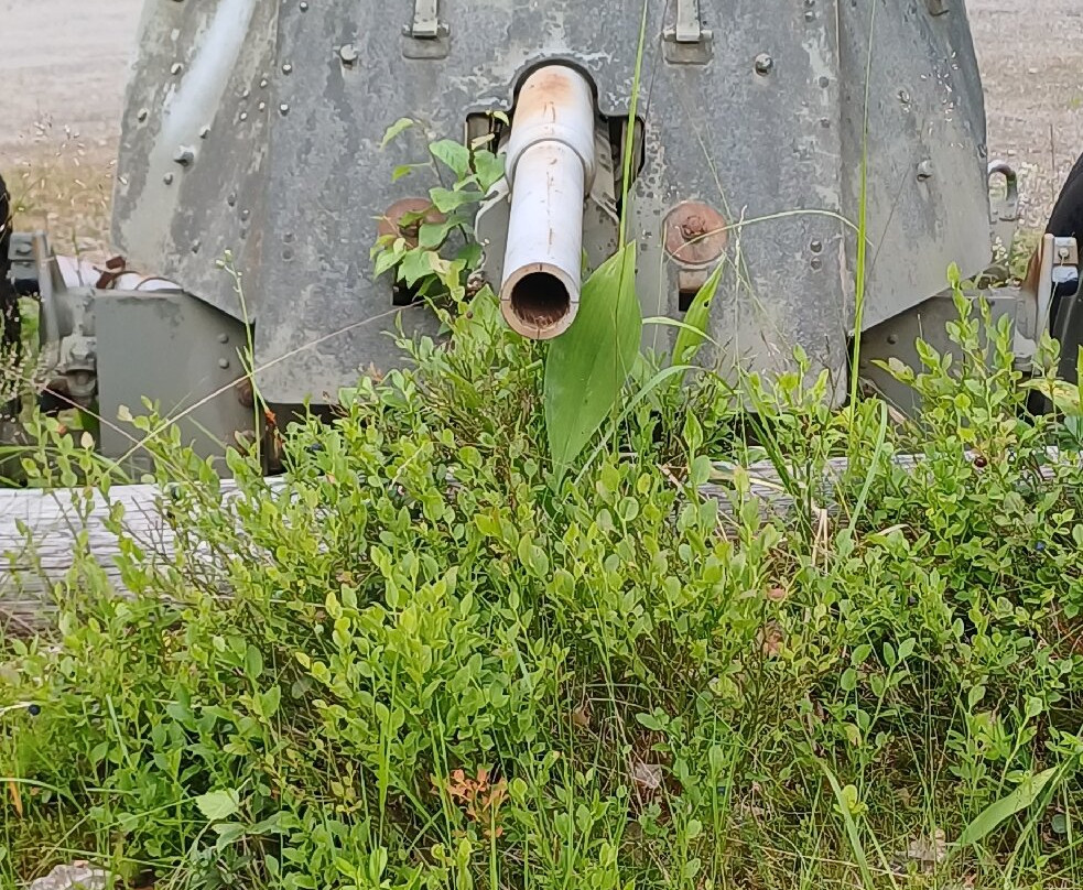 Öykkösenvaara