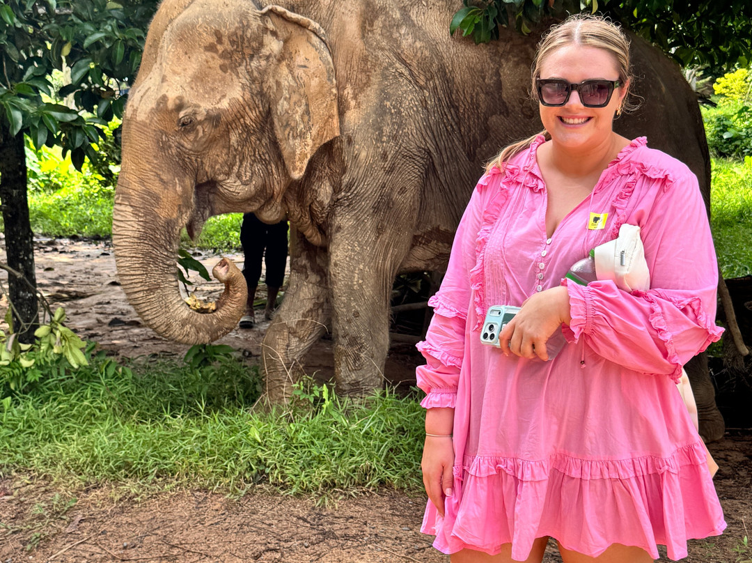 Phuket Elephant Sanctuary-普吉岛必去景点