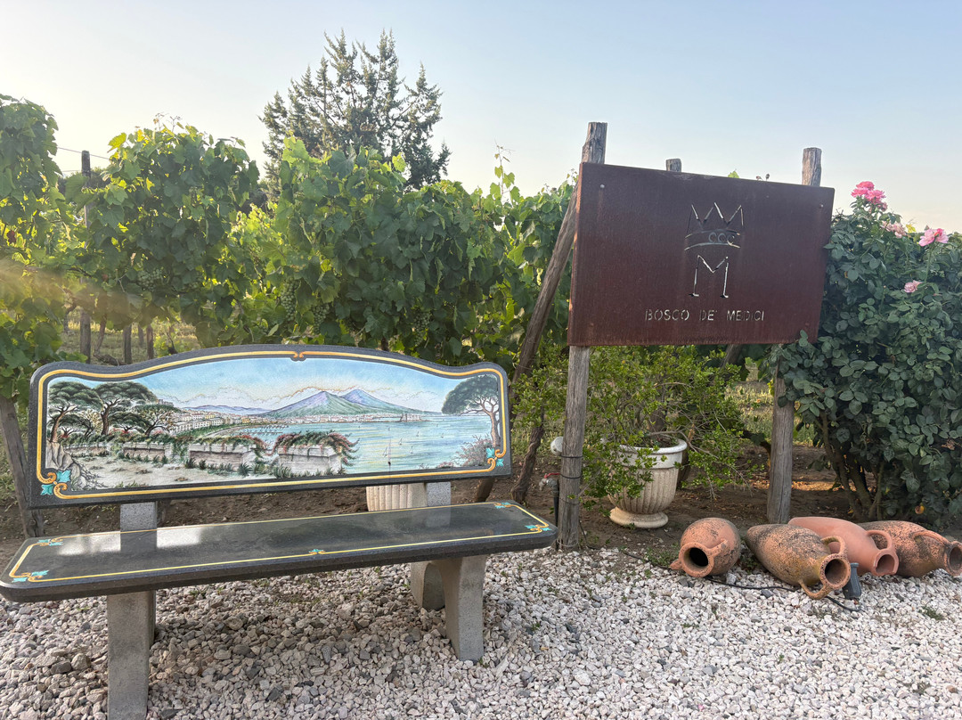 Bosco de Medici Winery-庞贝必去景点