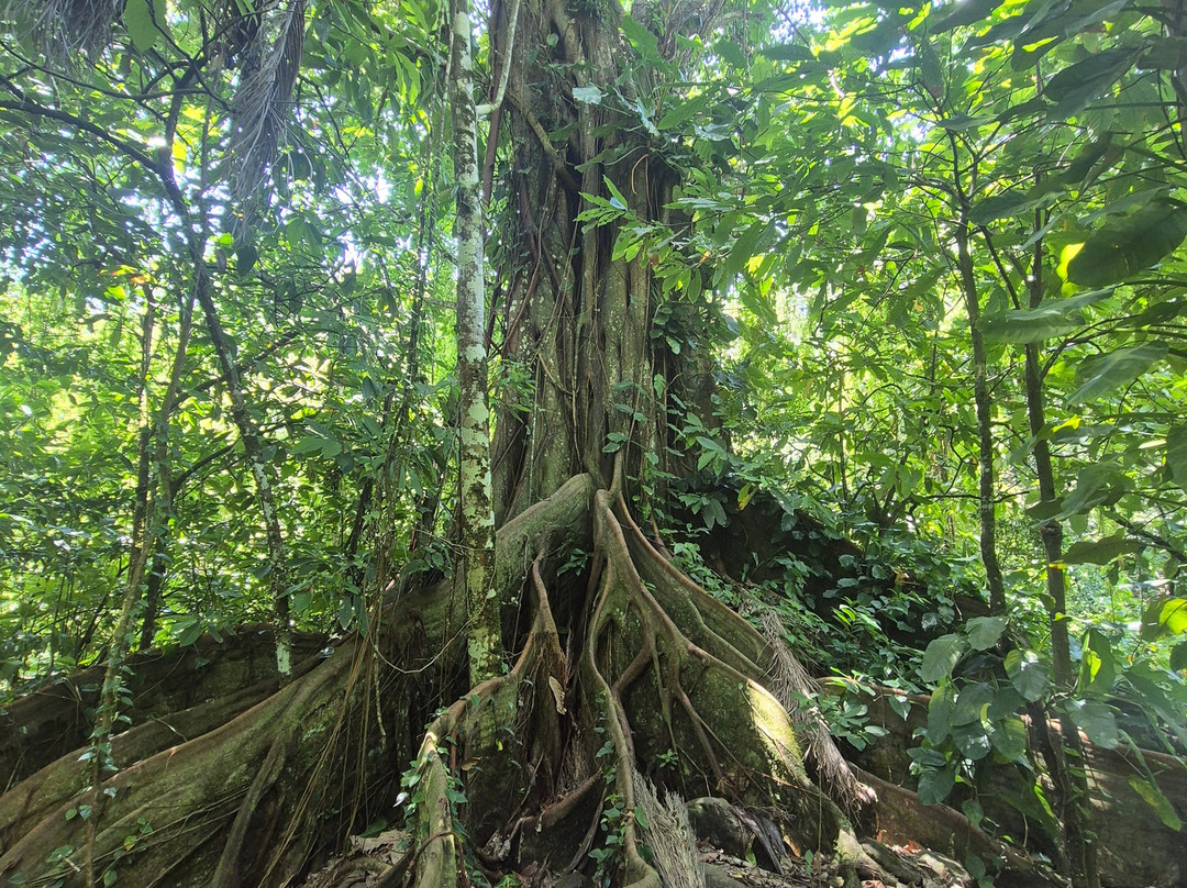 Parc De La Source-Bouillante必去景点