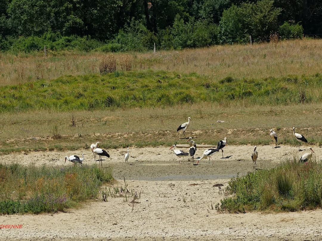 Domaine des Oiseaux-Mazeres必去景点
