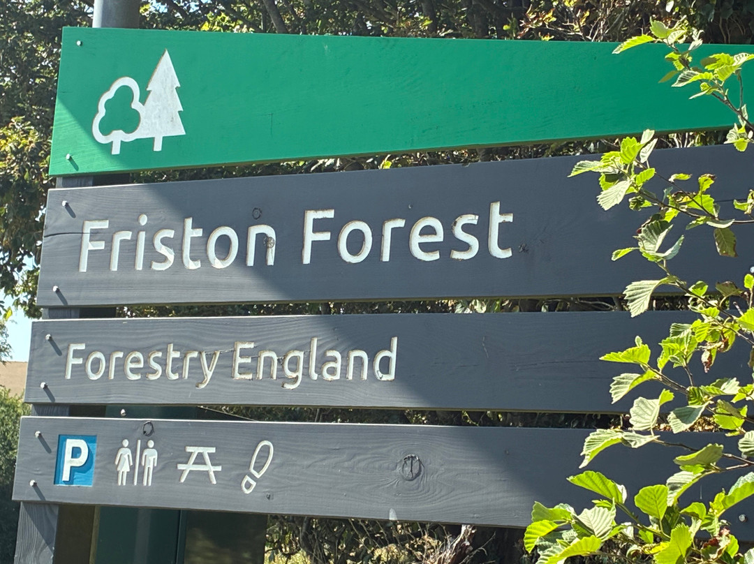 Friston Forest-伊斯特本必去景点