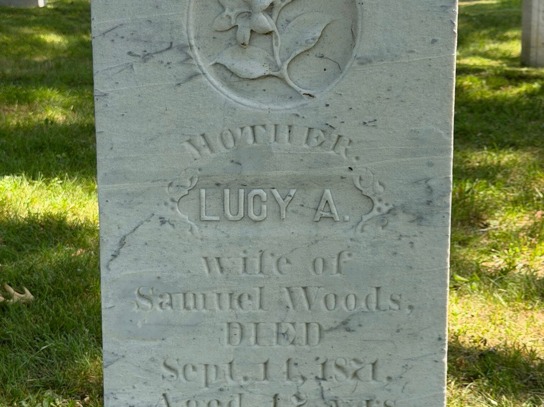 Mount View Cemetery-卡姆登必去景点
