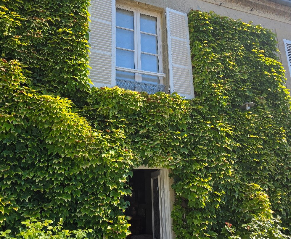 莱斯邵坲尼尔斯住宿加早餐旅馆主图