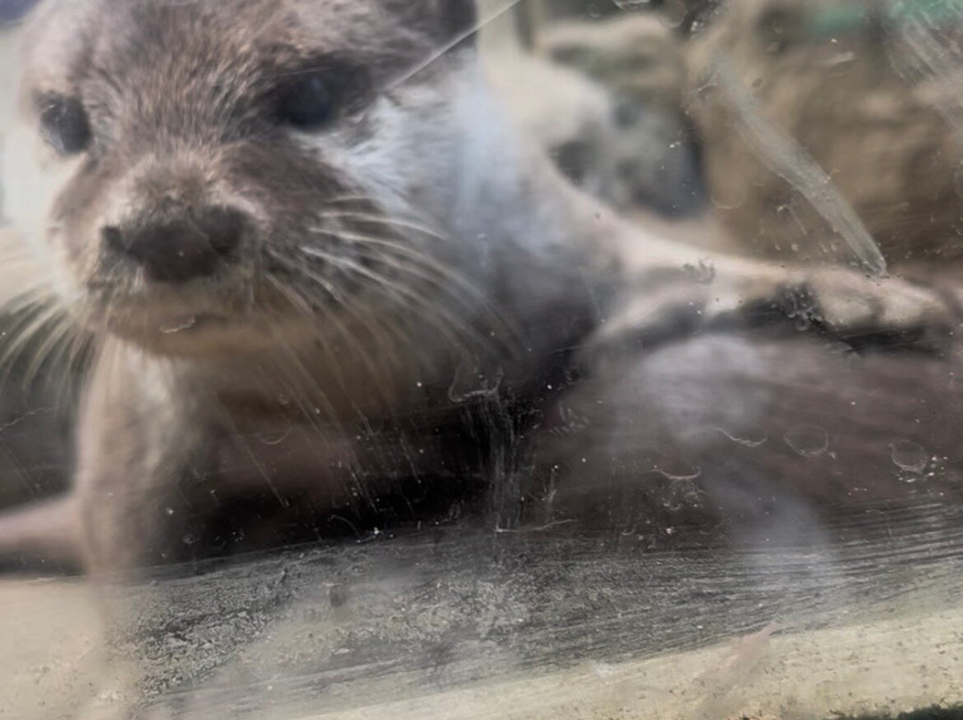 Ponderosa Zoo-Heckmondwike必去景点