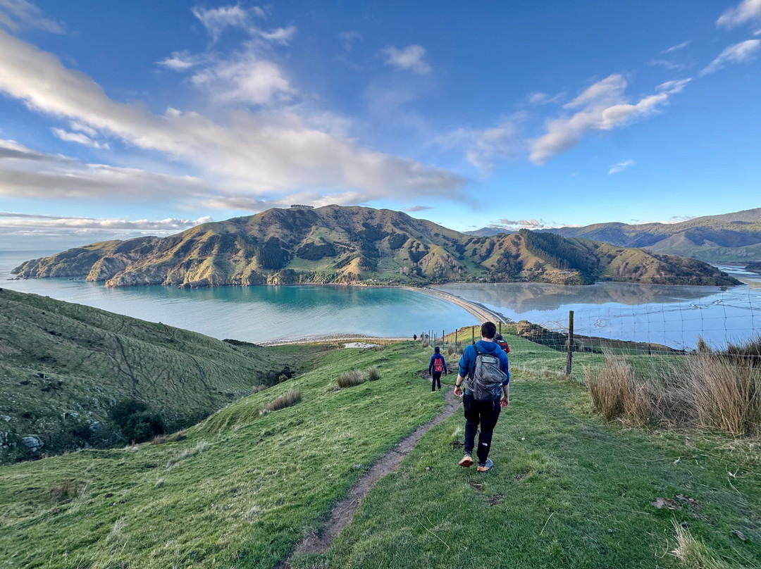 Tasman Adventure-Abel Tasman National Park必去景点