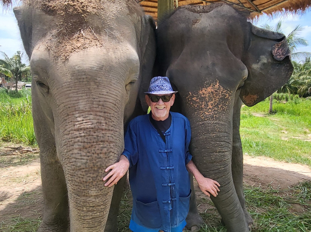 Living Green Elephant Sanctuary-清迈必去景点