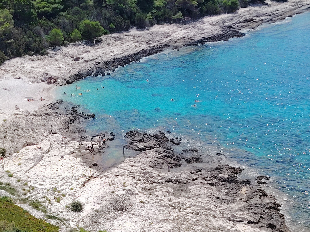 Feel Adriatic Nature Boat Tours Zadar-扎达尔必去景点