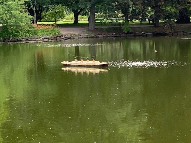 Halifax Public Gardens-哈利法克斯必去景点