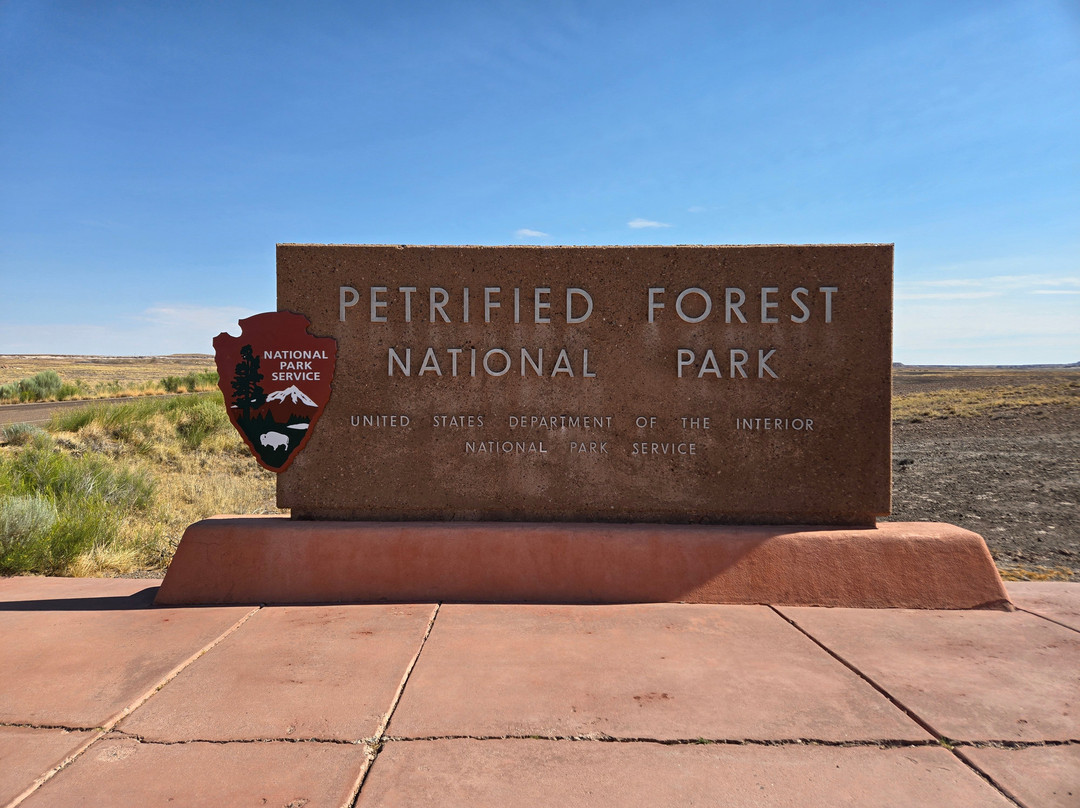 Petrified Forest National Park-霍尔布鲁克必去景点