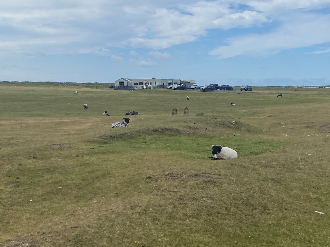 Achill Tourism-Achill Island必去景点