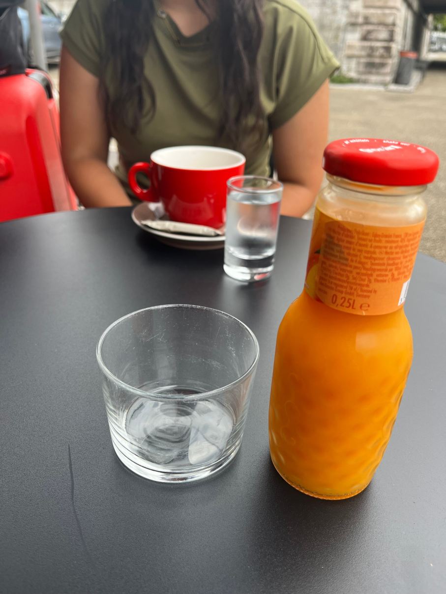 宜必思尚品巴约讷中心火车站酒店-旅行者