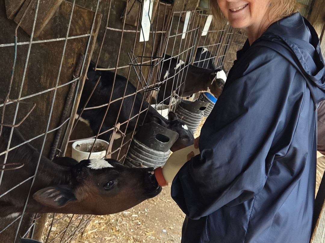 Hansen's Farm Fresh Dairy-Hudson必去景点