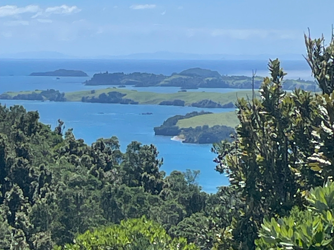 Auckland Sea Kayaks-奥克兰中心地区必去景点