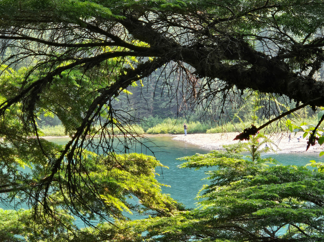 Avalanche Lake-冰河国家公园必去景点