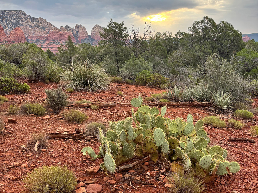Vortex Yoga Hiking In Sedona-塞多纳必去景点