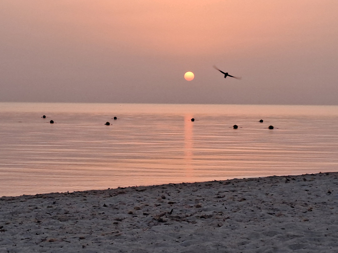 Seabel Rym Beach Djerba主图