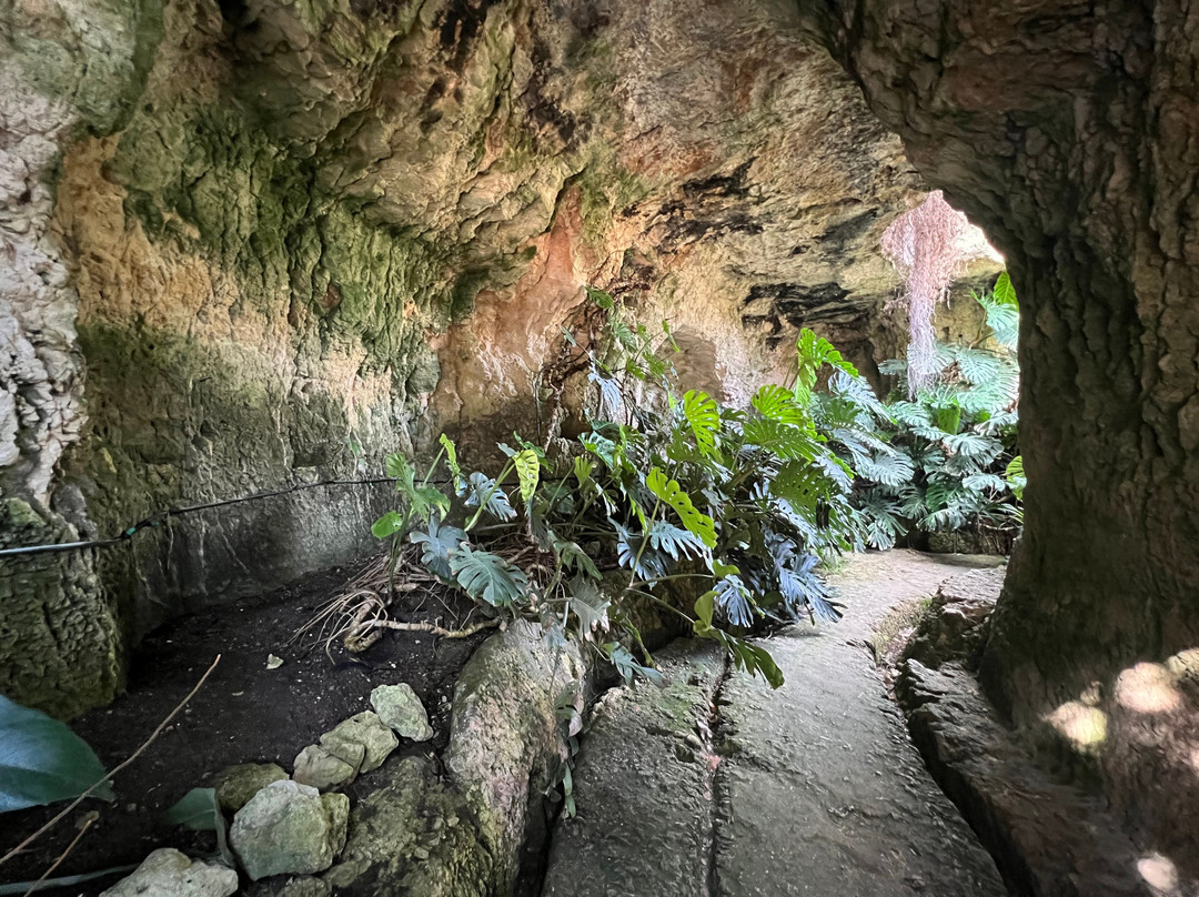 Orto Botanico-卡利亚里省必去景点