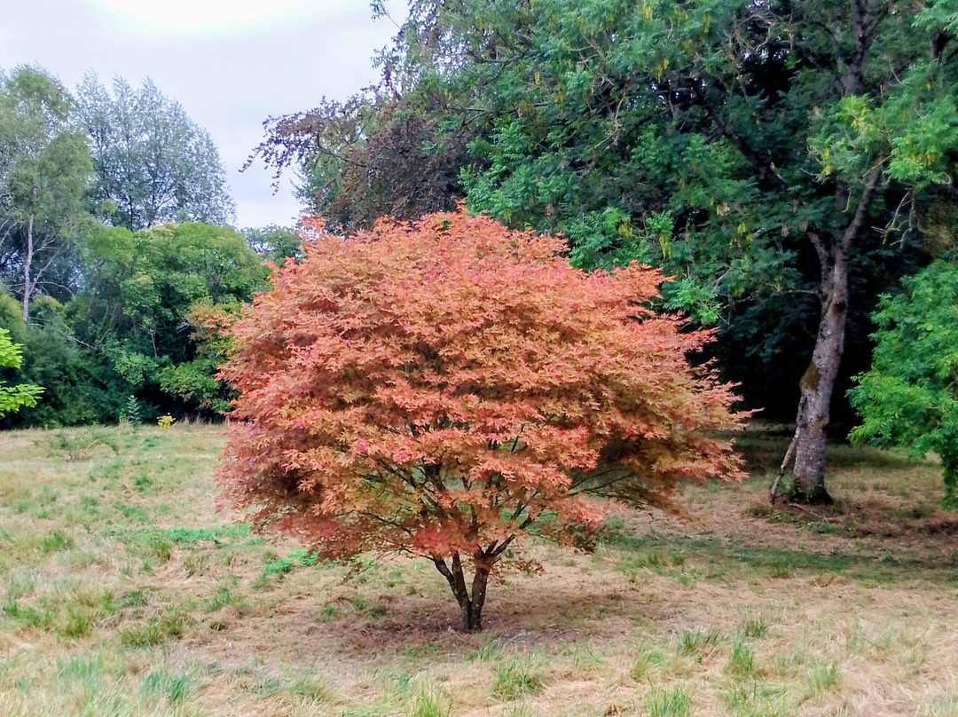 Houghton Lodge Gardens-Houghton必去景点