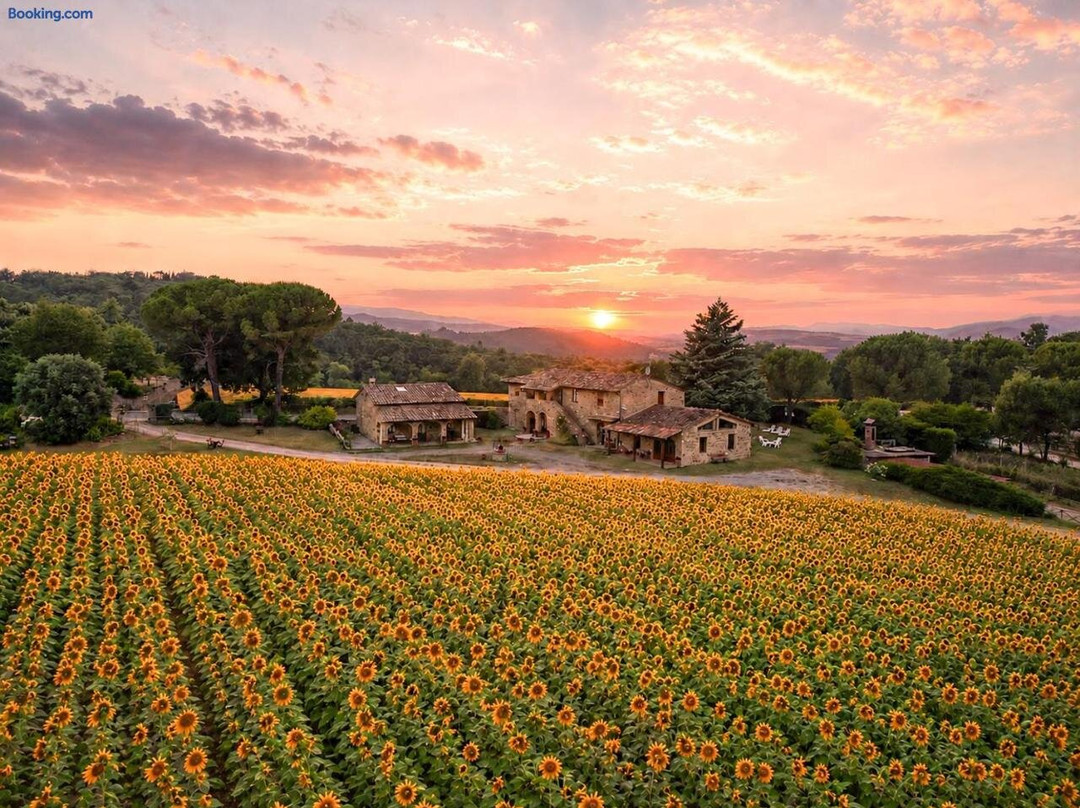 Agriturismo Casetta della Pina di Magrini Mino