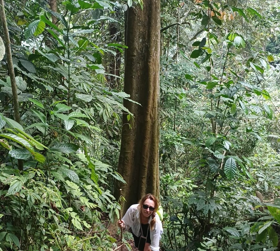 Batang Palupuh Nature Conservation Center (Rafflesia Park)-Palupuh必去景点