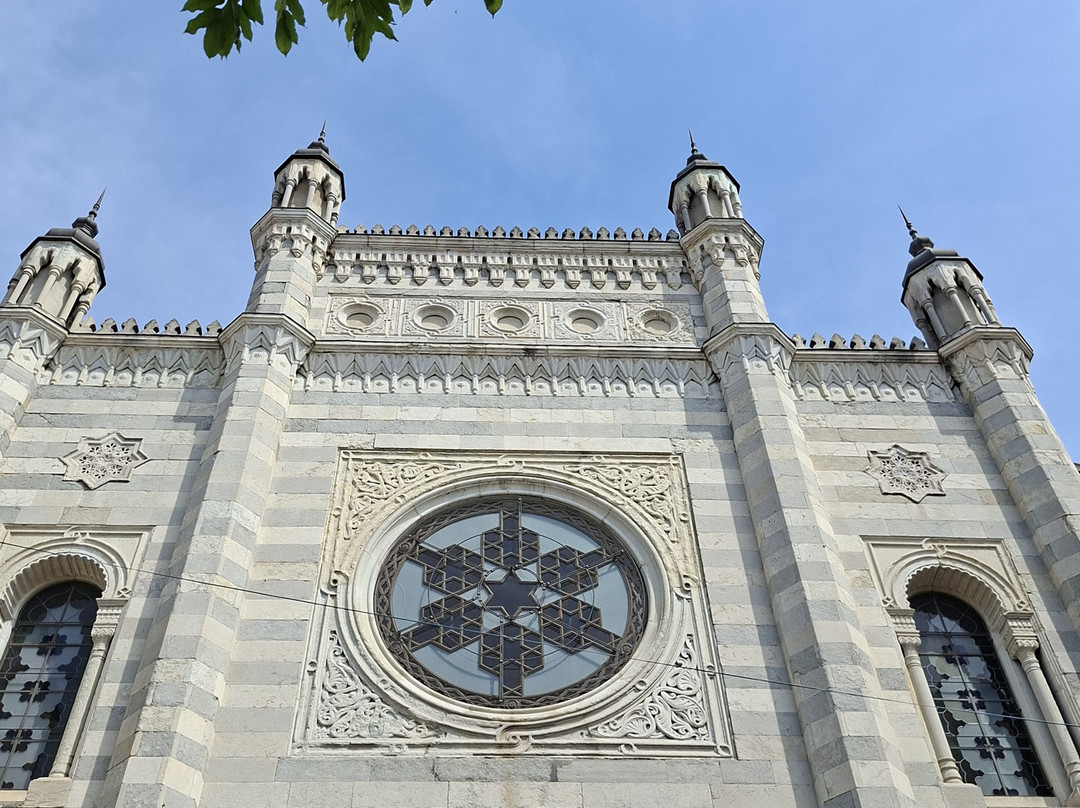 Sinagoga di Vercelli-韦尔切利必去景点