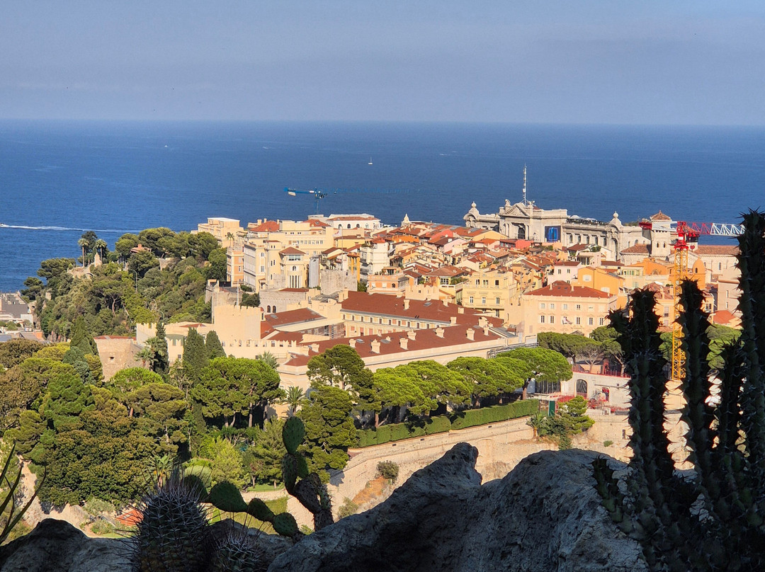 Jardin Exotique de Monaco-摩纳哥城必去景点