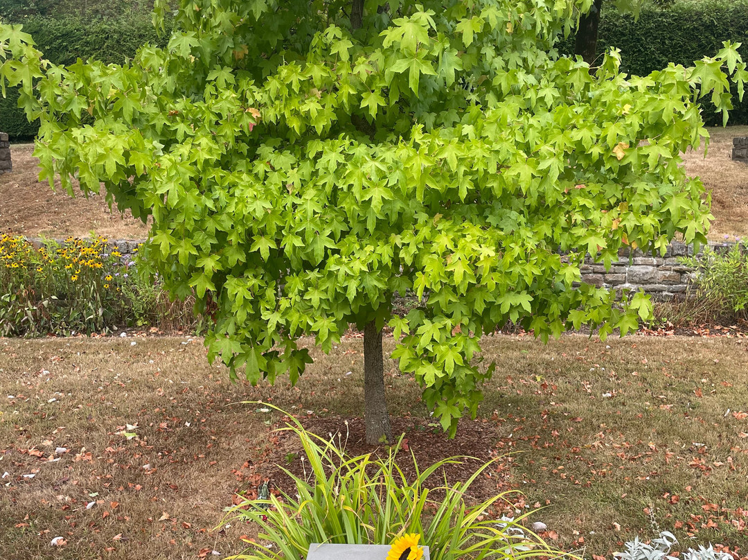 Aberfan Disaster Memorial Garden-Aberfan必去景点