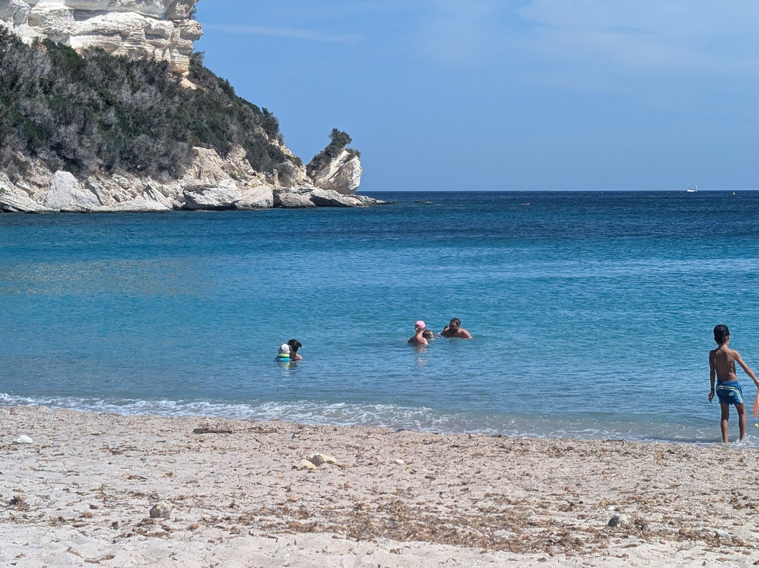 Plage de Canella-Sari-Solenzara必去景点