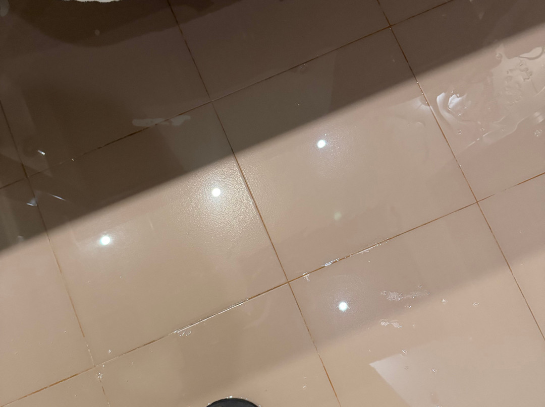 厄尔巴鲸鱼海岸沙滩与海水浴疗酒店主图