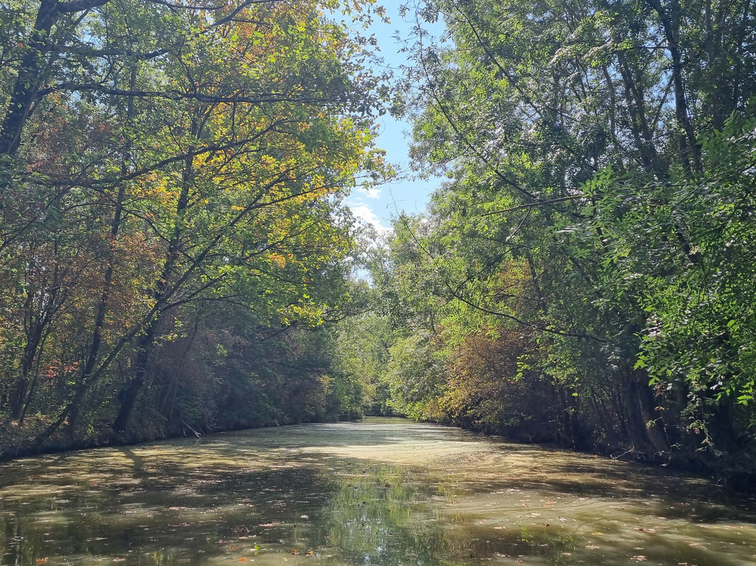 Oiseaux du Marais Poitevin-Saint-Hilaire-la-Palud必去景点