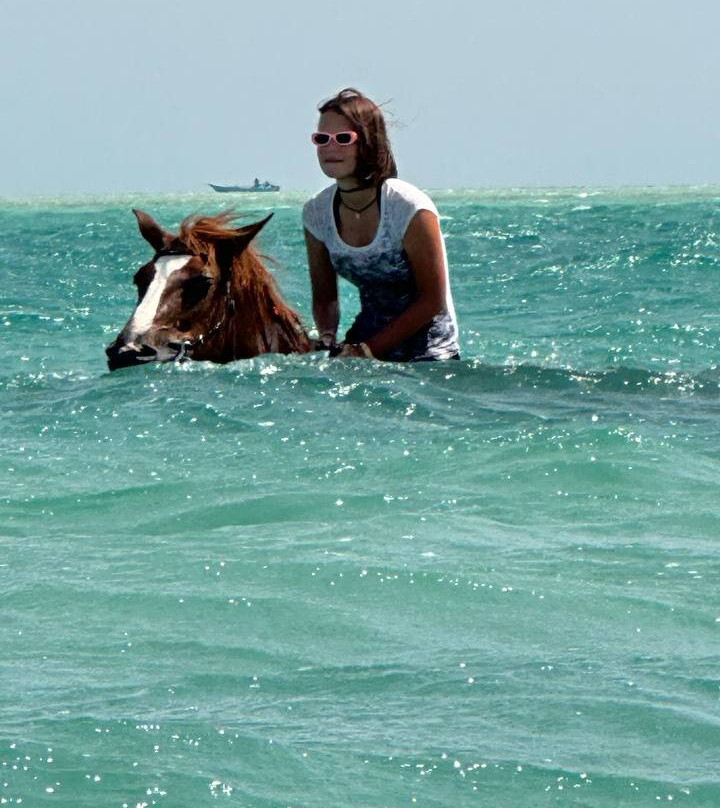 Horse Trips Iryna-赫尔格达必去景点