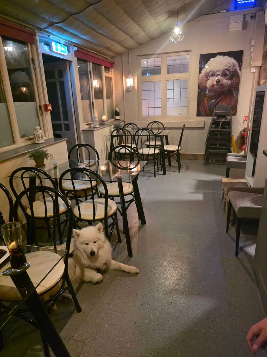索雷阿姆斯酒店-旅行者