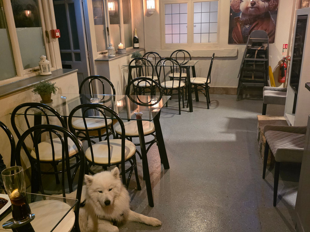 索雷阿姆斯酒店主图