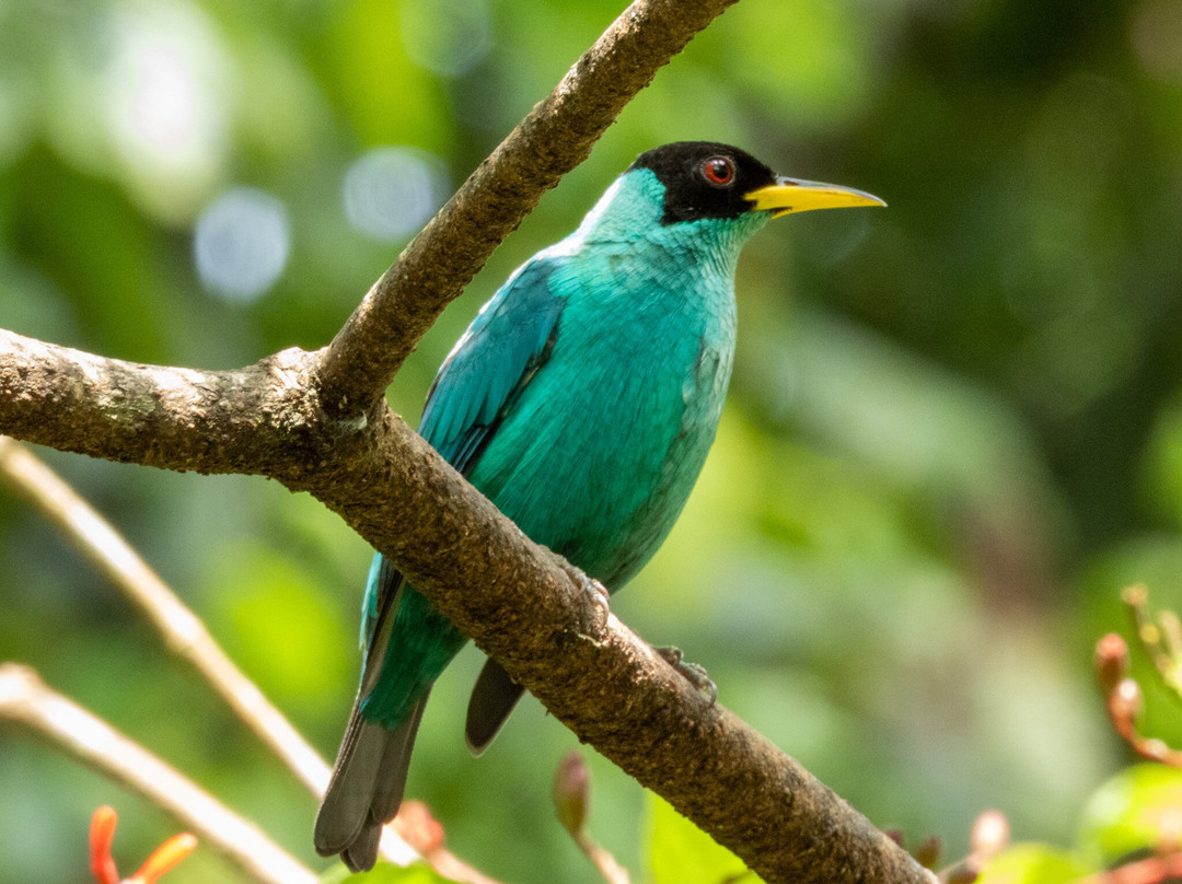 Dave & Dave's Costa Rica Nature Park-La Virgen必去景点