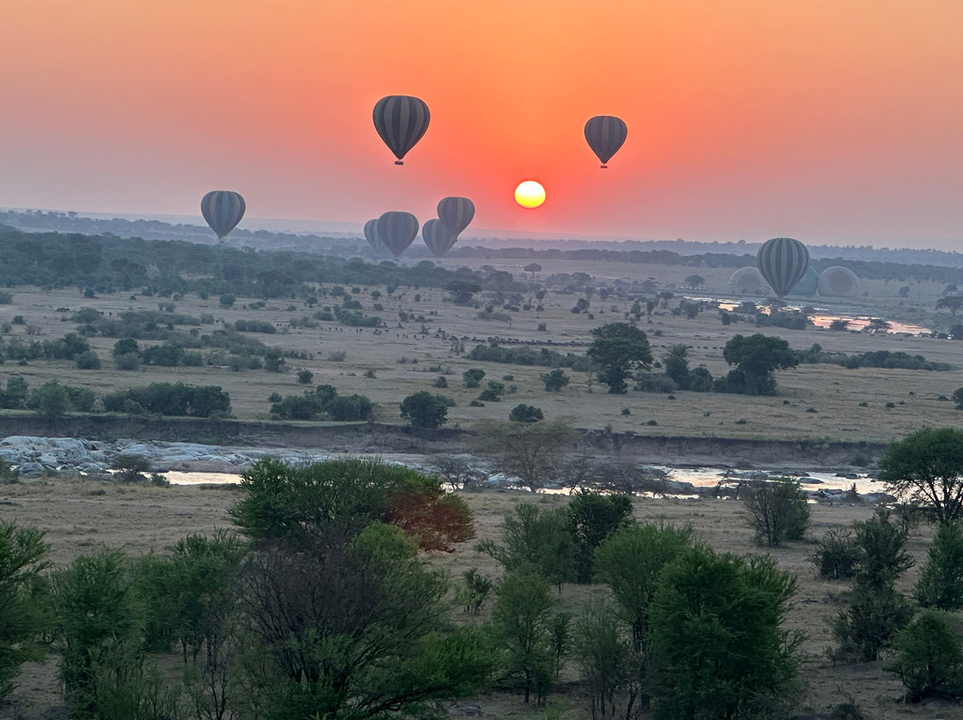 Serengeti Balloon Safaris-塞伦盖蒂国家公园必去景点