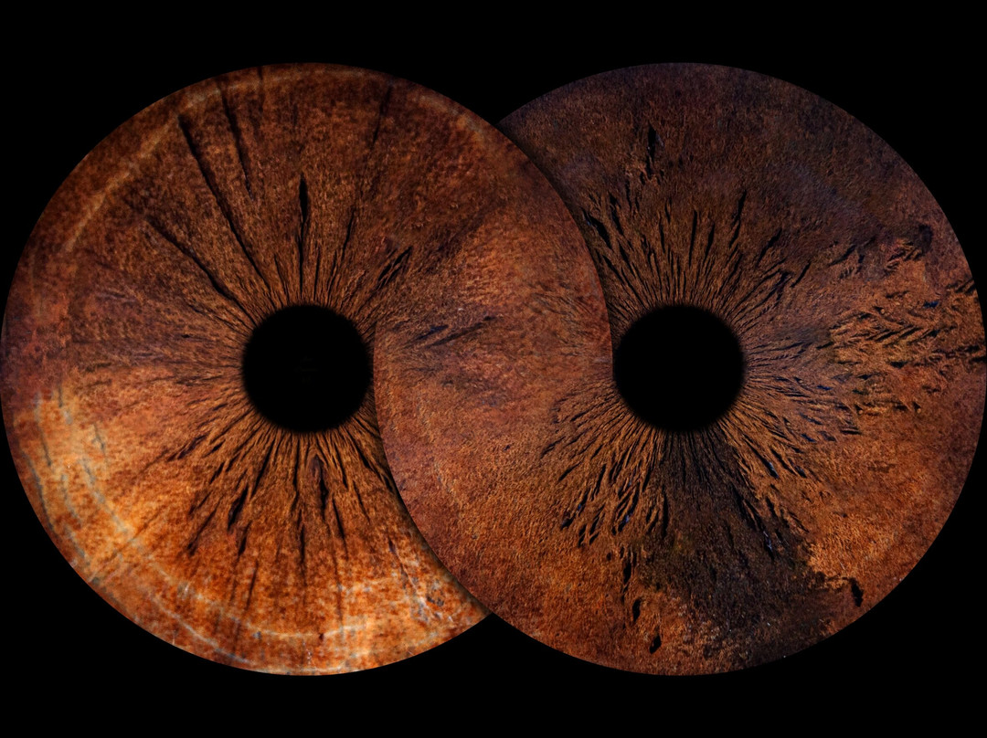 Iris Galerie Amsterdam Spiegelgracht