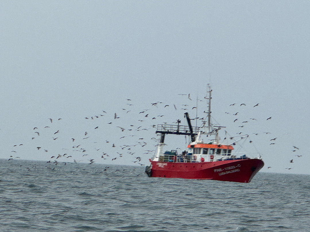 Wildwatch Algarve-费拉古多必去景点