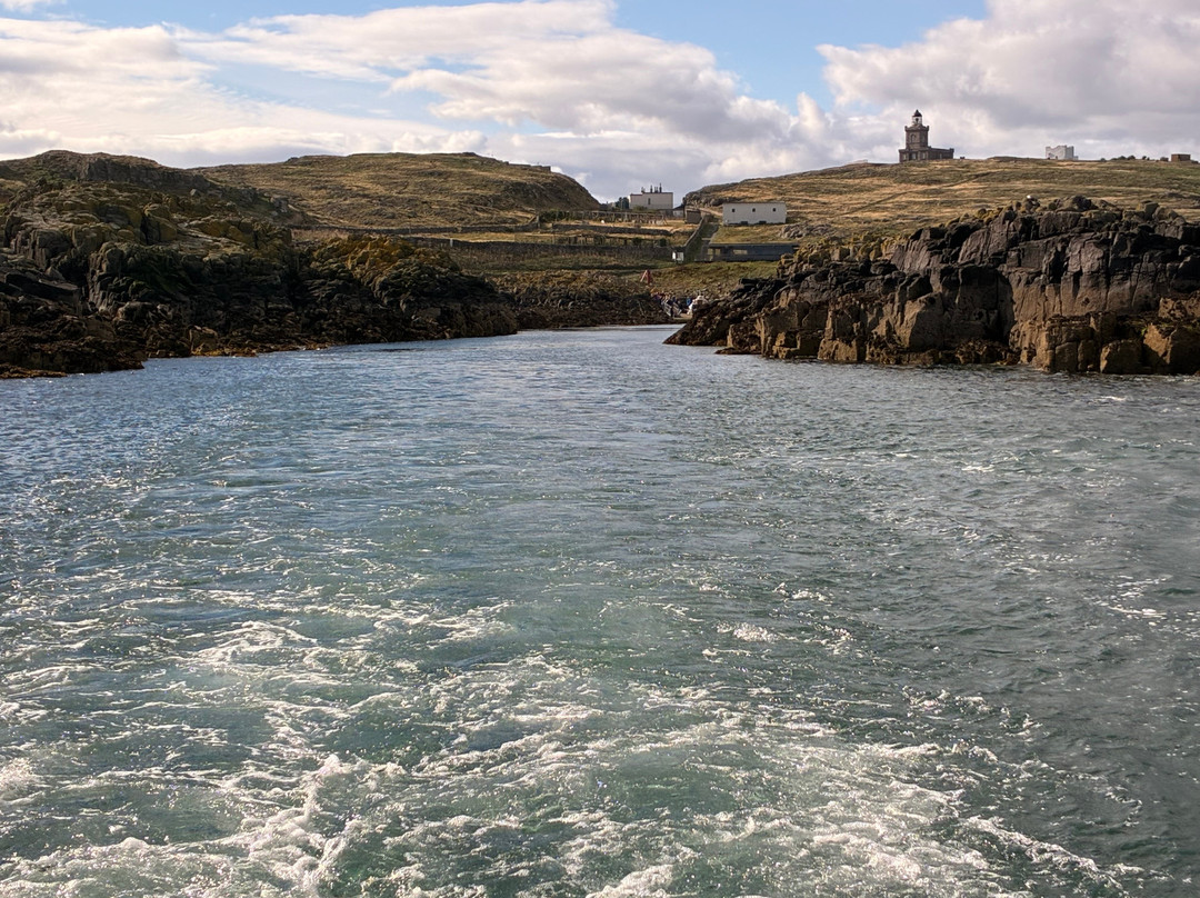 Anstruther Pleasure Cruises-Boat Day Tours-Anstruther必去景点
